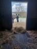 Tapis de boxe 