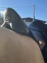 Salle dressage Bates Wide