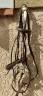 Filet marron taille cheval
