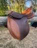 Selle &Eacute;ric Thomas Hybride new Jump