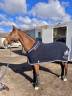 QUENELLE D'ARCHONFOSSE, 10Y, Jument&nbsp;CSO