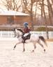 Poney D de 8 ans pour CSO