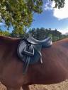 Selle Eric Thomas Fitter 17&rdquo; cuir 