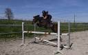 Poney de 5 ans