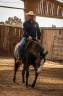 Jument Paint Horse APHA &mdash; TR HOLLY PEPPY SAN (2 ans)