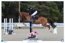 Poney CSO comp&eacute;titif, 5 ans en 2027