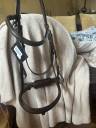 Bridon avec muserolle Time Rider neuf 