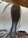 Sangle anatomique Time Rider 125cm