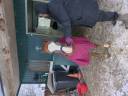 Poney de compagnie 