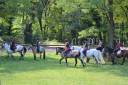 Séjour Equitation en Drôme Provençale