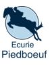 Ecurie privée pension pour chevaux de sport