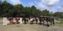 Stage ado Anglais - Cso et Cross - Landes