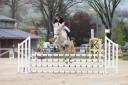 Apprentissage : Animateur d'équitation