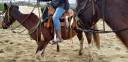 Cours d'équitation Western