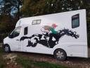 Location camion pour chevaux secteur BUZAN&Ccedil;AIS 