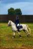 poney