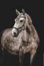 CHEVAL LUSITANIEN 