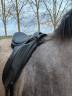 Selle dressage Thorowgood