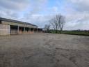 Pension spécialisée pour vieux chevaux et 100% Bio