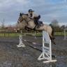 Poney de sport de 6ans 
