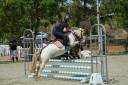 Poney polyvalent 