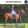 COULEUR MENTALO - PS - 4 ANS