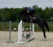 Hongre CSO 4 ans top origines et super brave 