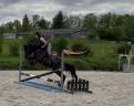 Ponette de sport taille D 5 ans – Le talent polyvalent!