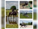 Ponette de sport taille D 5 ans – Le talent polyvalent!