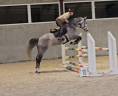 Jeune, belle et bonne jument obstacle 6 ans