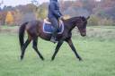 Ponette 14 ans 