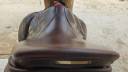 Selle DELGRANGE VIRTUOSE 17