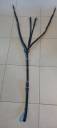 Collier de chasse cuir + martingale amovible 