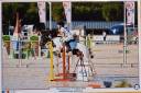 Etalon shetland grand standard - ipo129