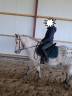 Poney hongre 