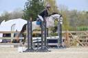 Hongre SFO 4 ans par Master Van de Helle