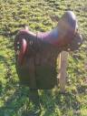 vend selle australienne 