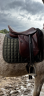 selle de dressage belloir saumur