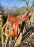 selle mixte
