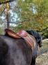 selle mixte