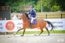 Excellent cheval de concours 130-135