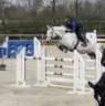 Excellente jument de 9 ans 1m70