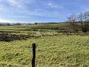 Recherche investisseur - 78 ha - Bourgogne