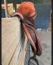 Selle CWD
