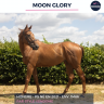 MOON GLORY - PS - 4 ANS