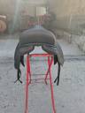 Selle de dressage STAR 17,5