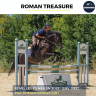 ROMAN TREASURE - PS - 3 ANS 