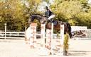 Hongre de 13 ans top cheval Amateur 