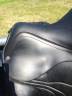 Selle de dressage Altair Dressage