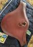 Sangle bavette Devoucoux 